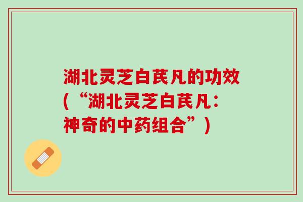 湖北灵芝白芪凡的功效(“湖北灵芝白芪凡：神奇的中药组合”)