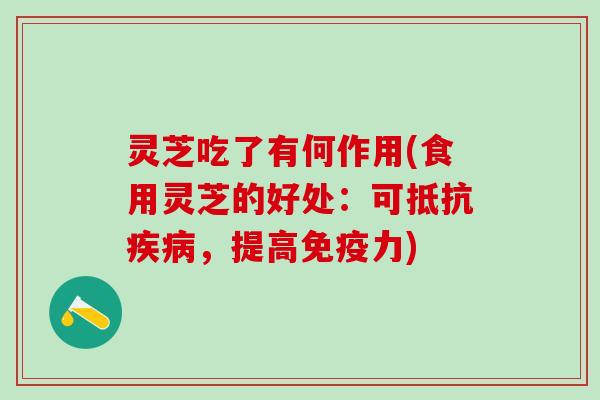 灵芝吃了有何作用(食用灵芝的好处:可抵抗,提高免疫力) 灵芝吃了有何作用(食用灵芝的好处:可抵抗,提高免疫力)