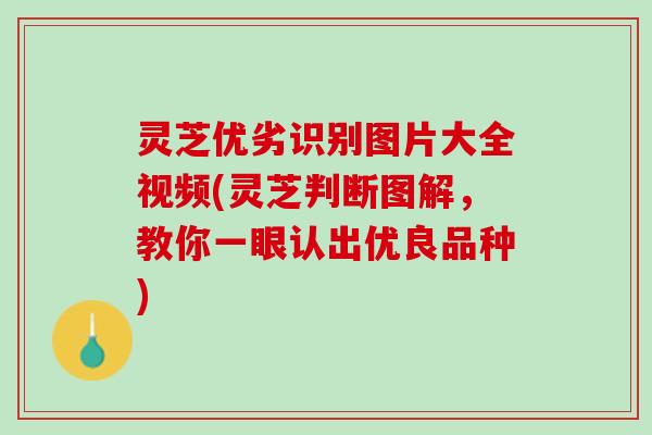 灵芝优劣识别图片大全视频(灵芝判断图解，教你一眼认出优良品种)
