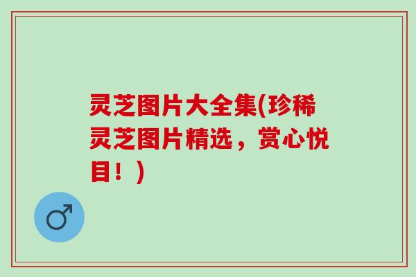 灵芝图片大全集(珍稀灵芝图片精选，赏心悦目！)