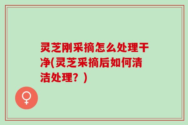 灵芝刚采摘怎么处理干净(灵芝采摘后如何清洁处理？)