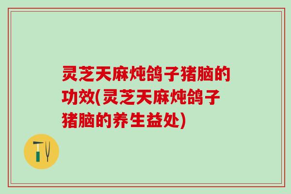 灵芝天麻炖鸽子猪脑的功效(灵芝天麻炖鸽子猪脑的养生益处) 灵芝天麻炖鸽子猪脑的功效(灵芝天麻炖鸽子猪脑的养生益处)