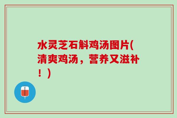 水灵芝石斛鸡汤图片(清爽鸡汤，营养又滋补！)