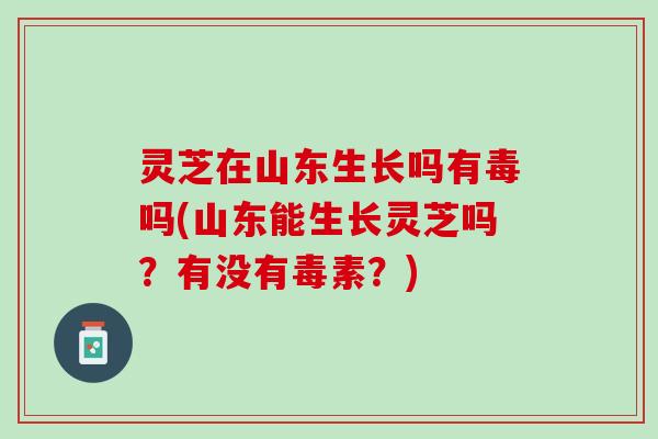灵芝在山东生长吗有毒吗(山东能生长灵芝吗？有没有毒素？)