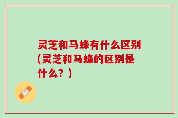 灵芝和马蜂有什么区别(灵芝和马蜂的区别是什么？)
