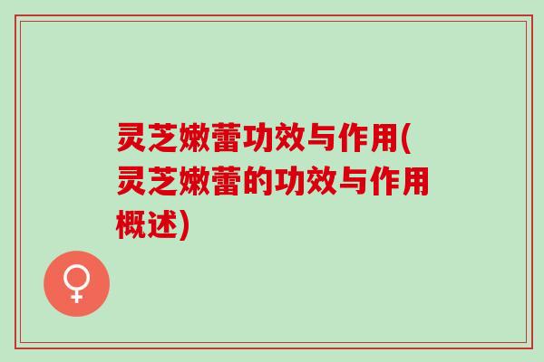 灵芝嫩蕾功效与作用(灵芝嫩蕾的功效与作用概述)
