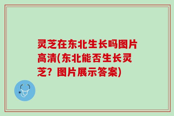 灵芝在东北生长吗图片高清(东北能否生长灵芝？图片展示答案)
