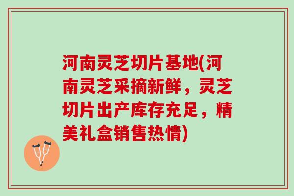 河南灵芝切片基地(河南灵芝采摘新鲜，灵芝切片出产库存充足，精美礼盒销售热情)
