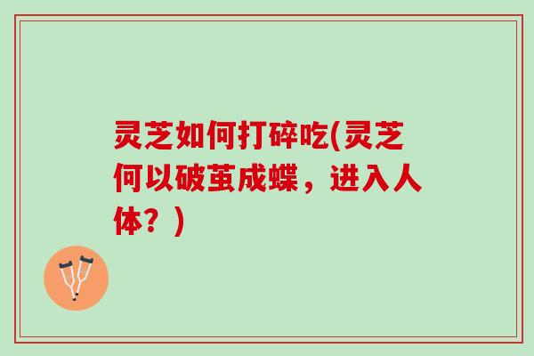 灵芝如何打碎吃(灵芝何以破茧成蝶，进入人体？)