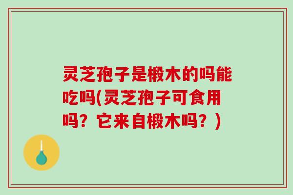 灵芝孢子是椴木的吗能吃吗(灵芝孢子可食用吗？它来自椴木吗？)
