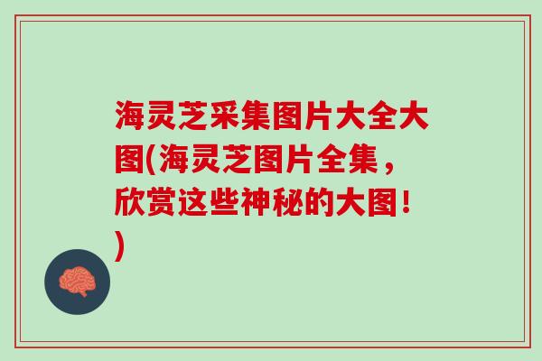 海灵芝采集图片大全大图(海灵芝图片全集，欣赏这些神秘的大图！)