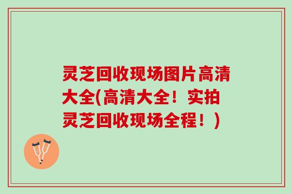 灵芝回收现场图片高清大全(高清大全！实拍灵芝回收现场全程！)