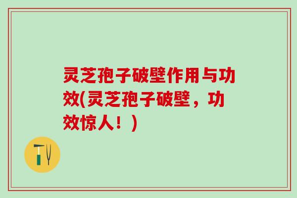 灵芝孢子破壁作用与功效(灵芝孢子破壁，功效惊人！)
