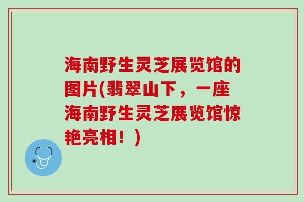 海南野生灵芝展览馆的图片(翡翠山下，一座海南野生灵芝展览馆惊艳亮相！)