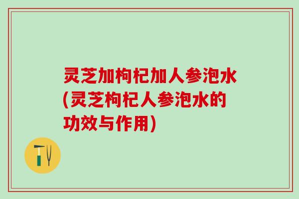 灵芝加枸杞加人参泡水(灵芝枸杞人参泡水的功效与作用)