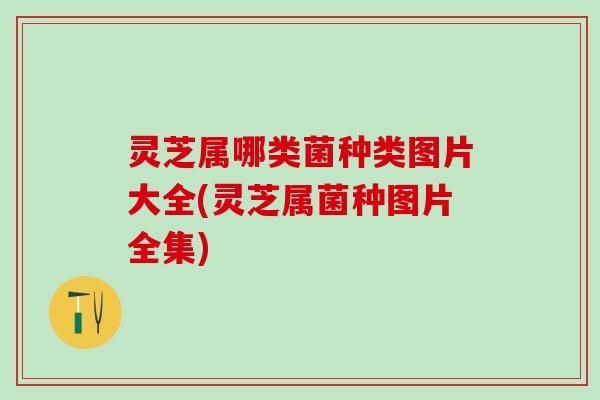 灵芝属哪类菌种类图片大全(灵芝属菌种图片全集)