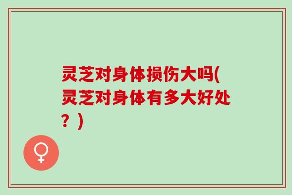 灵芝对身体损伤大吗(灵芝对身体有多大好处？)