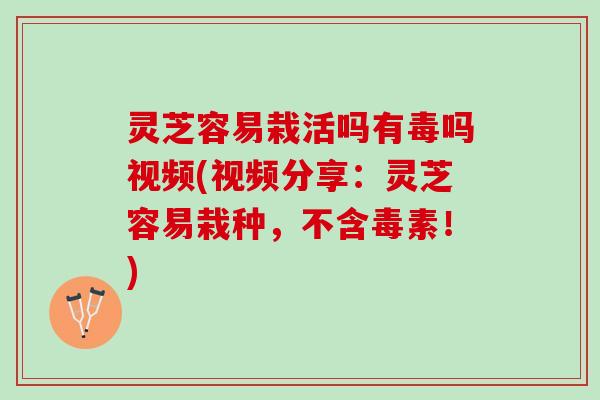 灵芝容易栽活吗有毒吗视频(视频分享：灵芝容易栽种，不含毒素！)