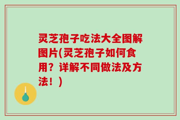 灵芝孢子吃法大全图解图片(灵芝孢子如何食用？详解不同做法及方法！)