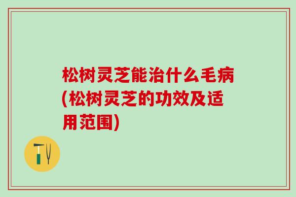 松树灵芝能治什么毛病(松树灵芝的功效及适用范围)