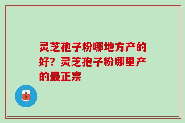 灵芝孢子粉哪地方产的好？灵芝孢子粉哪里产的最正宗