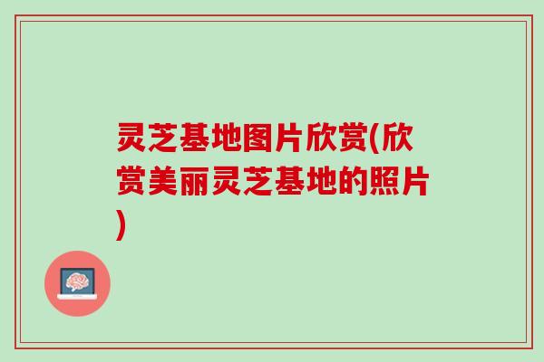 灵芝基地图片欣赏(欣赏美丽灵芝基地的照片)