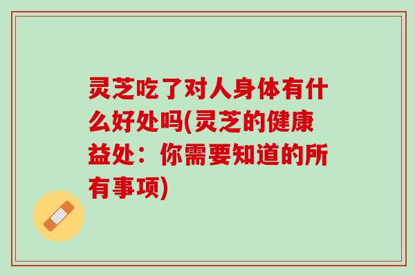 灵芝吃了对人身体有什么好处吗(灵芝的健康益处：你需要知道的所有事项)
