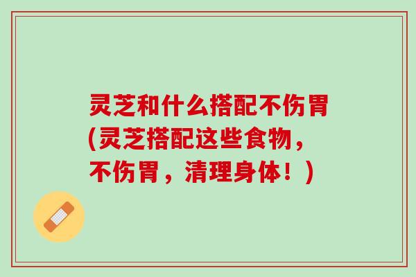 灵芝和什么搭配不伤胃(灵芝搭配这些食物,不伤胃,清理身体!) 灵芝和什么搭配不伤胃(灵芝搭配这些食物,不伤胃,清理身体!)
