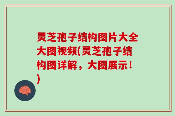 灵芝孢子结构图片大全大图视频(灵芝孢子结构图详解，大图展示！)