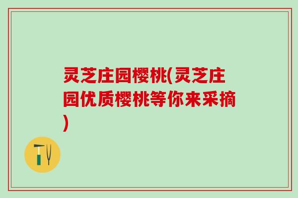 灵芝庄园樱桃(灵芝庄园优质樱桃等你来采摘)