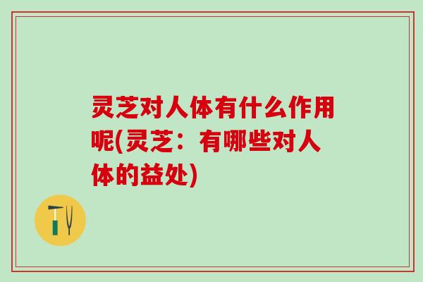 灵芝对人体有什么作用呢(灵芝:有哪些对人体的益处) 灵芝对人体有什么作用呢(灵芝:有哪些对人体的益处)