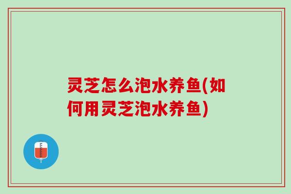 灵芝怎么泡水养鱼(如何用灵芝泡水养鱼)