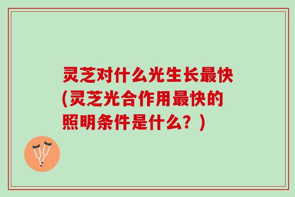 灵芝对什么光生长最快(灵芝光合作用最快的照明条件是什么？)