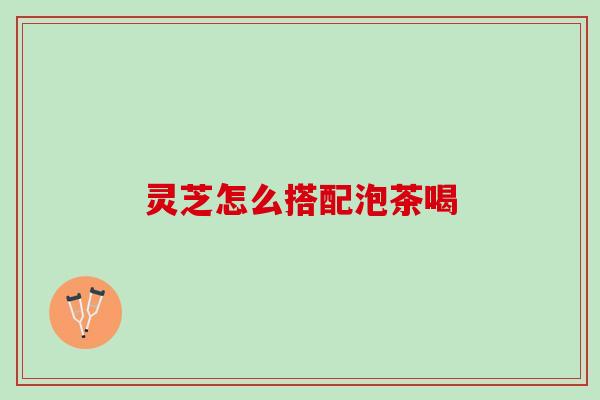 灵芝怎么搭配泡茶喝