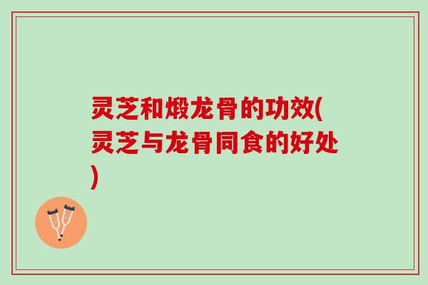 灵芝和煅龙骨的功效(灵芝与龙骨同食的好处)