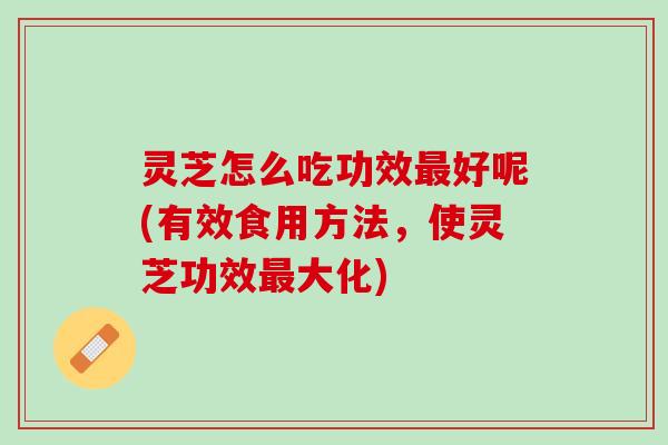 灵芝怎么吃功效最好呢(有效食用方法，使灵芝功效最大化)