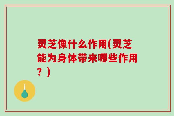 灵芝像什么作用(灵芝能为身体带来哪些作用？)