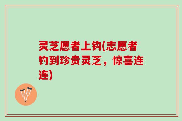灵芝愿者上钩(志愿者钓到珍贵灵芝，惊喜连连)