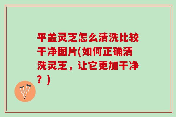 平盖灵芝怎么清洗比较干净图片(如何正确清洗灵芝，让它更加干净？)