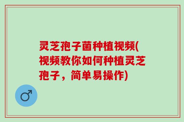 灵芝孢子菌种植视频(视频教你如何种植灵芝孢子，简单易操作)