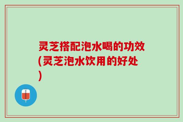 灵芝搭配泡水喝的功效(灵芝泡水饮用的好处)