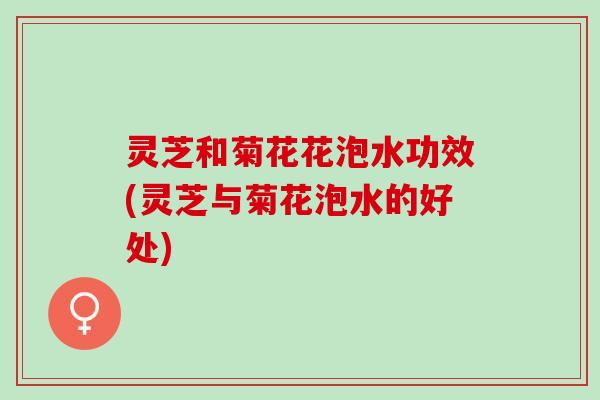 灵芝和菊花花泡水功效(灵芝与菊花泡水的好处) 灵芝和菊花花泡水功效(灵芝与菊花泡水的好处)