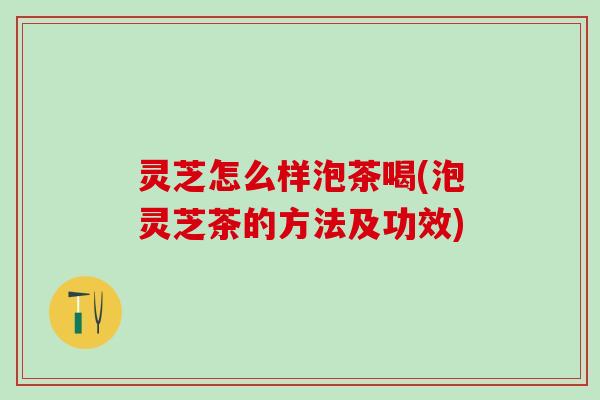 灵芝怎么样泡茶喝(泡灵芝茶的方法及功效)