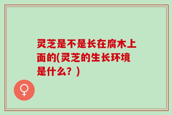 灵芝是不是长在腐木上面的(灵芝的生长环境是什么？)