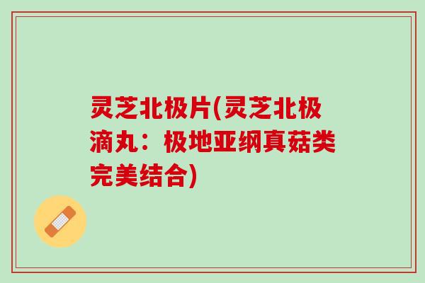 灵芝北极片(灵芝北极滴丸：极地亚纲真菇类完美结合)