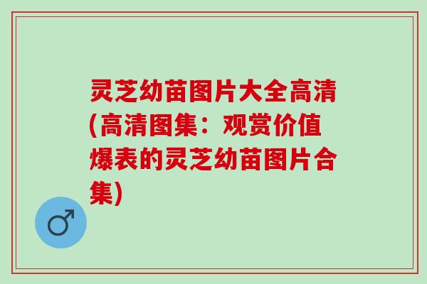 灵芝幼苗图片大全高清(高清图集:观赏价值爆表的灵芝幼苗图片合集) 灵芝幼苗图片大全高清(高清图集:观赏价值爆表的灵芝幼苗图片合集)