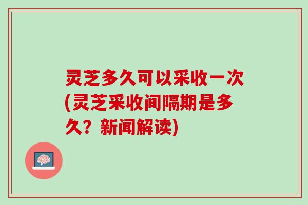 灵芝多久可以采收一次(灵芝采收间隔期是多久？新闻解读)