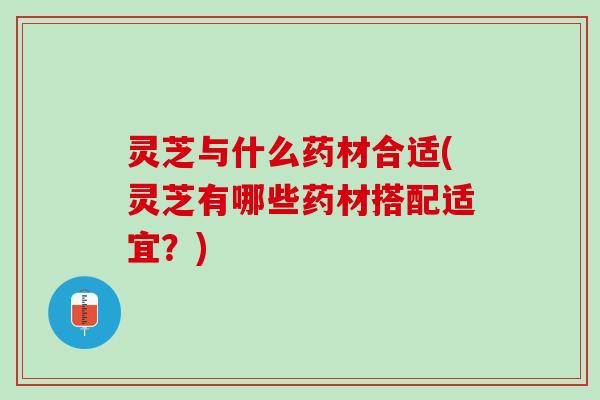灵芝与什么药材合适(灵芝有哪些药材搭配适宜？)