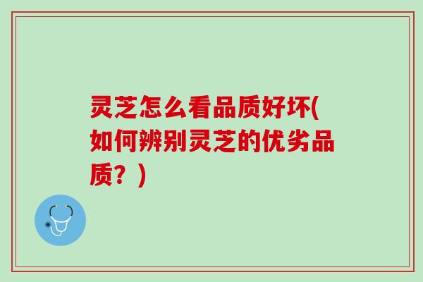 灵芝怎么看品质好坏(如何辨别灵芝的优劣品质？)