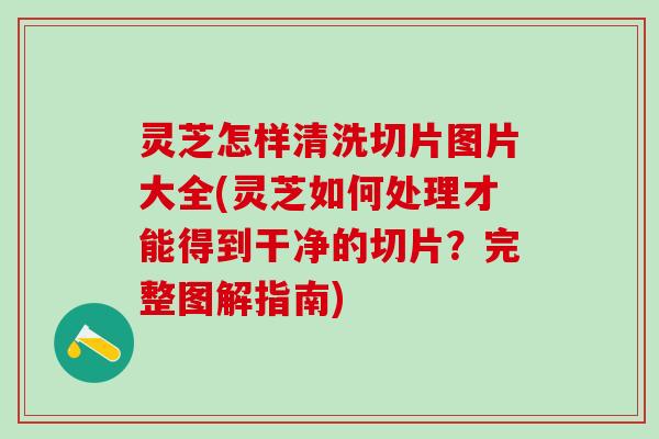 灵芝怎样清洗切片图片大全(灵芝如何处理才能得到干净的切片？完整图解指南)